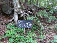 080727_4.jpg