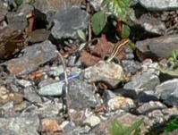 080906_2.jpg