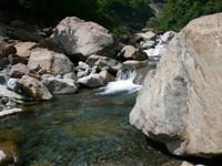 080906_3.jpg