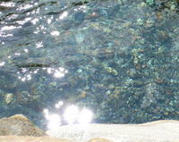 080906_4.jpg